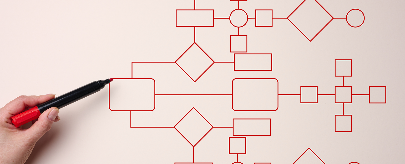 Development Image